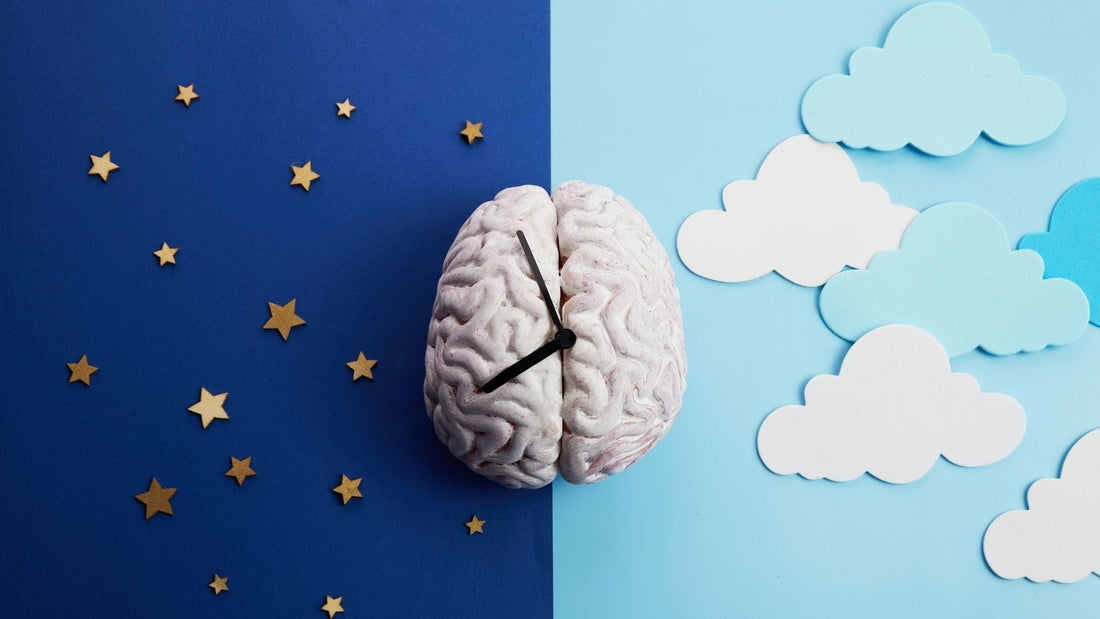 Sleep, Hormones & Recovery: Why Rest Changes Everything