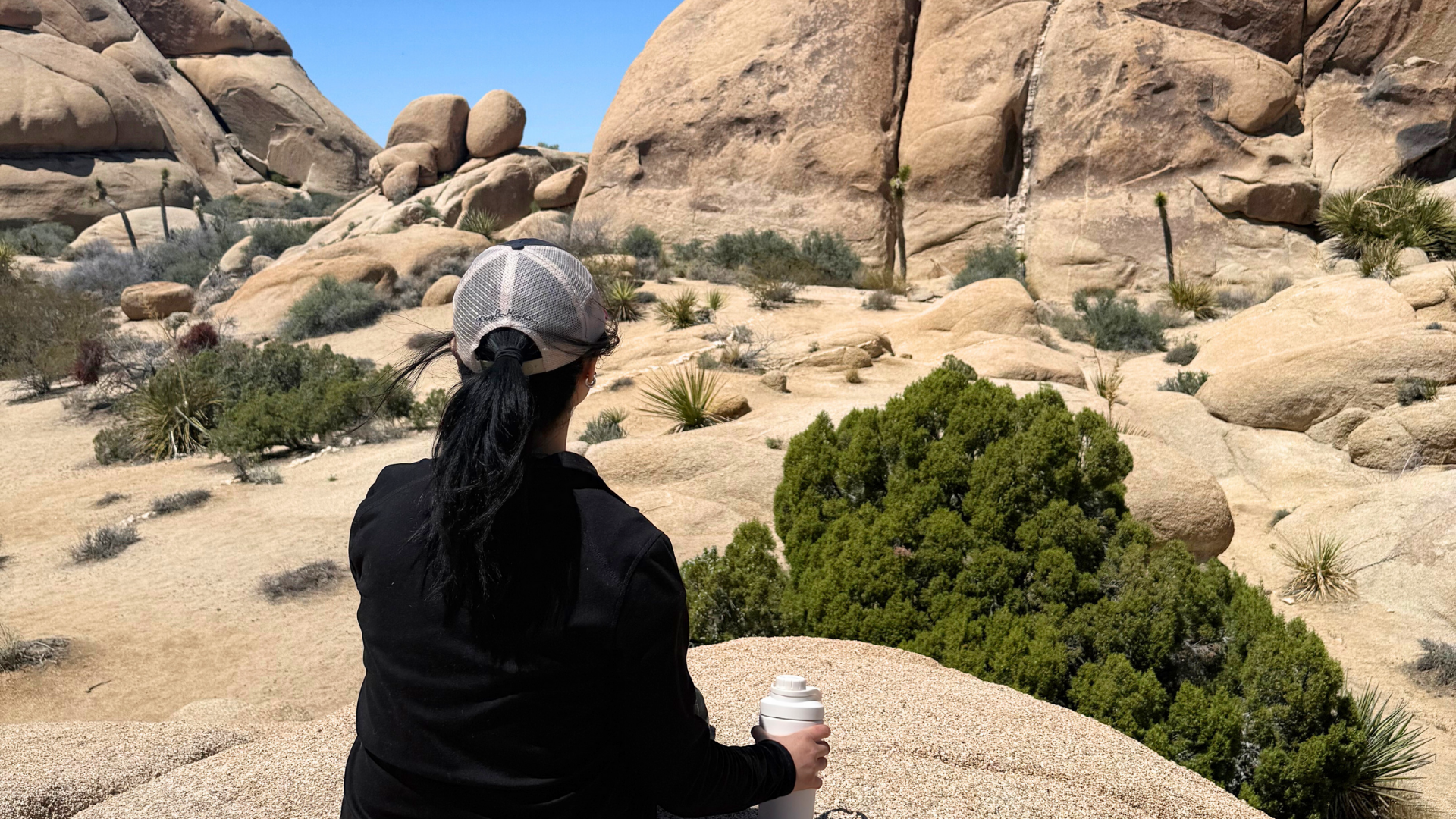 The Wellness Routine Behind Balanced Energy
