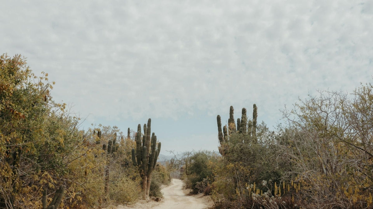 How to Make the Outdoors Part of Your Everyday Life