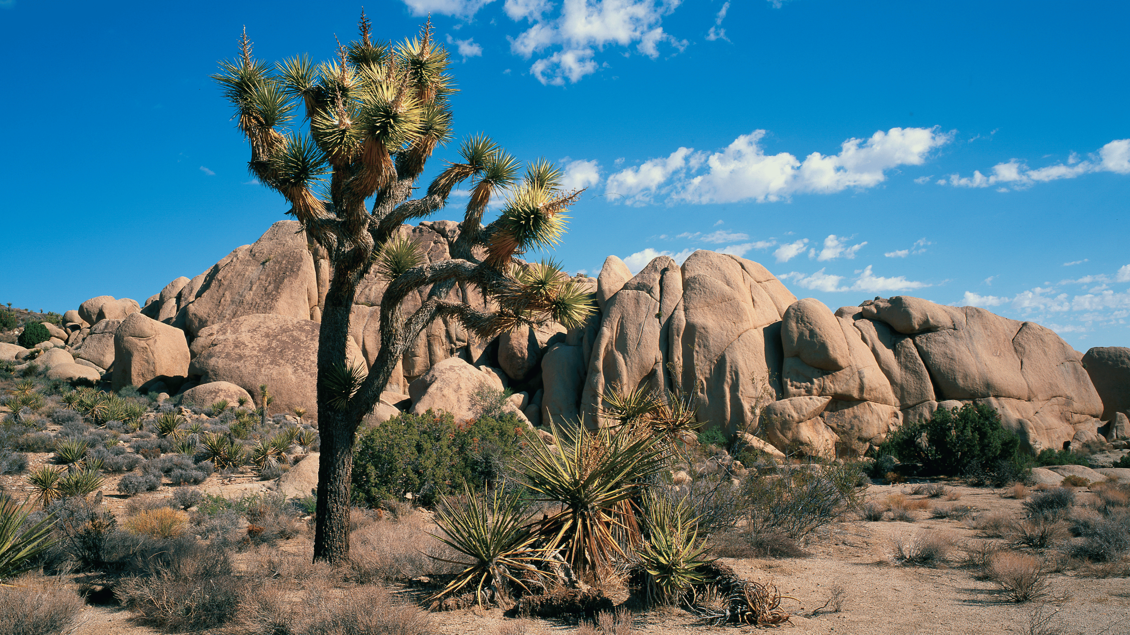 What Is Dry January? A Simple Guide for Anyone