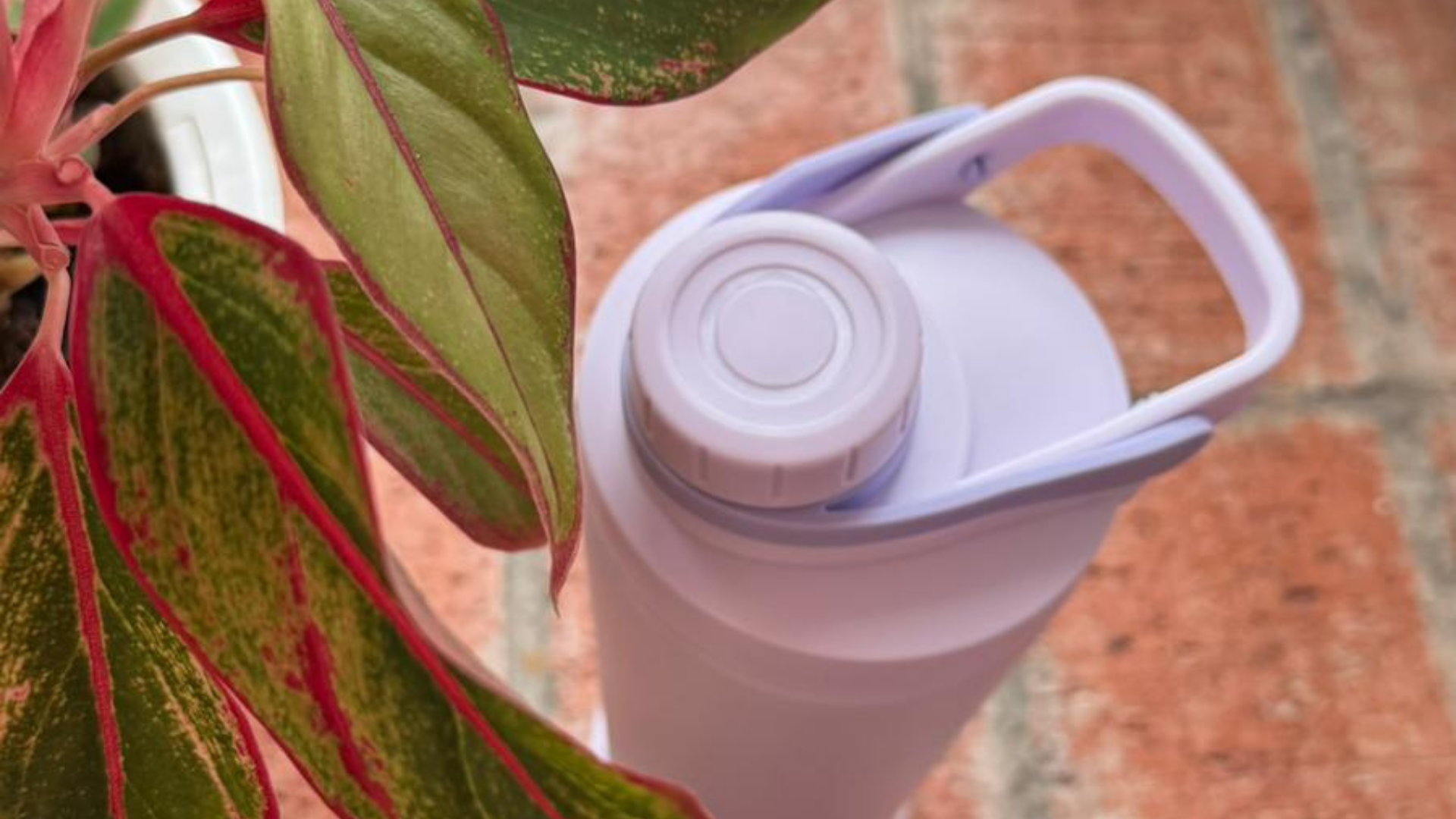 Best Times to Drink Water During the Day (Backed by Science)