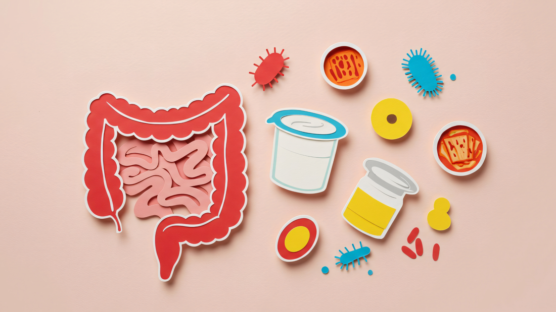 Why Gut Health Matters: The Microbiome Connection to Metabolism and Well-Being