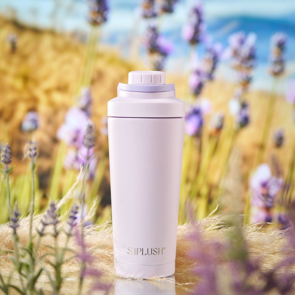 Lavender Coast Stainless Steel Shaker Bottle – 24oz